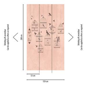 Fototapete Vögel Rosa Mädchenzimmer Braun - Hellrosa - Breite: 159 cm