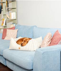 Hundebett  Kingston   Striped 80 x 30 x 100 cm