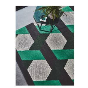 Tapis de salon tissé plat CAMPTON Vert - 160 x 230 cm