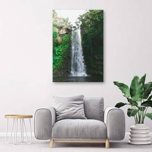 Wandbild Wasserfall Grüne Landschaft 60 x 90 cm