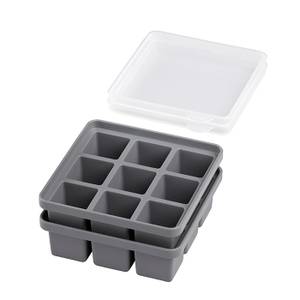 APS 2er Set Eiswürfelform Grau - Kunststoff - 16 x 6 x 16 cm