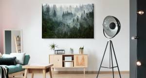 Leinwandbild Wald im Nebel Landschaft 3D 40 x 30 x 30 cm