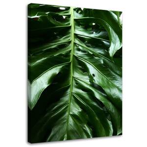 Wandbild Monstera Blatt Natur Tropisch 70 x 100 cm