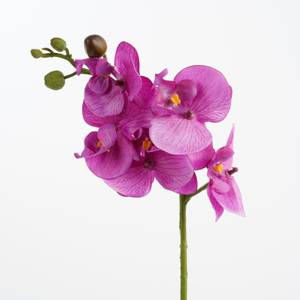 Plante artificielle Orchidée Mauve - Pierre - Textile - 13 x 48 x 13 cm
