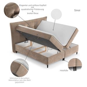 Boxspringbett Sinai II Taschenfeder Braun - Breite: 200 cm