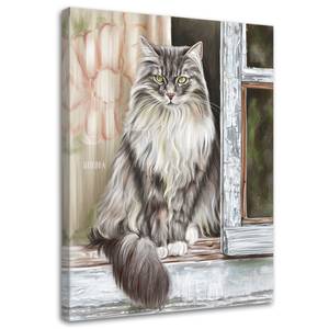 Wandbilder Katze Tier 40 x 60 cm