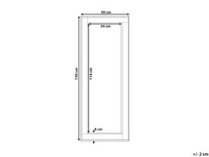 Wandspiegel FENIOUX Gold - Silber - Kunststoff - 50 x 130 x 2 cm