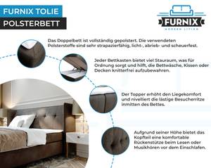 Boxspringbett TOLIE Braun