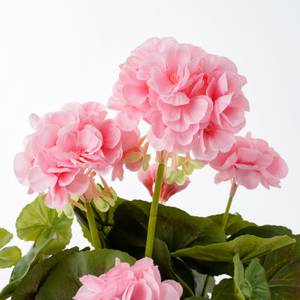 Plante artificielle Géranium Rose foncé - Pierre - Textile - 20 x 34 x 20 cm