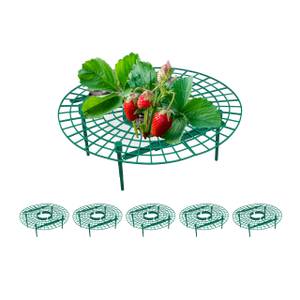 Erdbeerreifer 6er Set Grün - Kunststoff - 30 x 10 x 30 cm