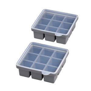 APS 2er Set Eiswürfelform Grau - Kunststoff - 16 x 6 x 16 cm