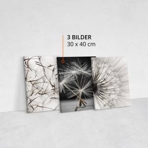 Set De Tableaux Pissenlits Fleurs Nature Beige - Noir - Gris - Blanc - Textile - 90 x 40 x 40 cm