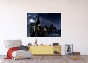 Poster Harry Potter Hogwarts 601251 Naturfaser - Textil - 110 x 155 x 155 cm