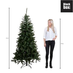 Weihnachtsbaum Charlton 127 x 215 x 127 cm