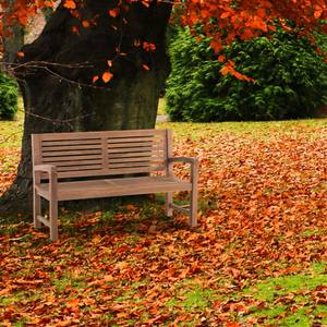 Banc de jardin Halden Bois manufacturé - 150 x 92 x 59 cm