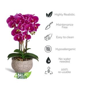 Kunstpflanze Violett Orchidee 42 cm Flieder - Violett