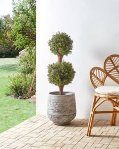 Kunstpflanze BUXUS BALL TREE 38 x 92 x 38 cm