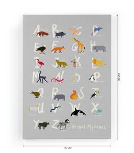 Leinwand Tieralphabet-Druck Textil - 3 x 60 x 40 cm