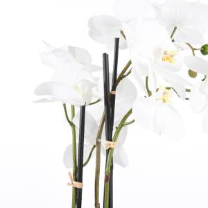 Kunstpflanze Phalaenopsis Weiß - Durchmesser: 51 cm