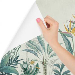 Papier Peint Feuilles Tropicales Fleurs 460 x 300 x 300 cm