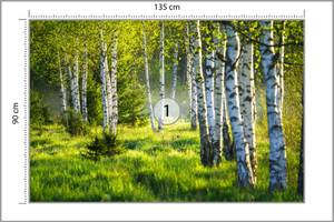 Fototapete BIRKEN Bäume Wald Natur 3D 135 x 90 x 90 cm