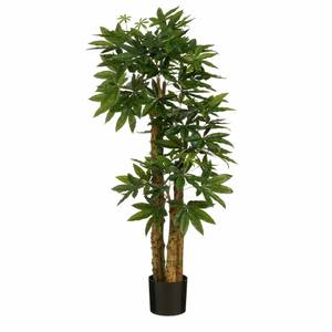 Pachira Plante artificielle Pachira 85 x 175 x 85 cm