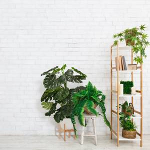 Pflanzenständer im 2er Set Braun - Bambus - 38 x 36 x 38 cm