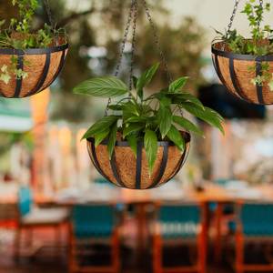 Pot De Fleur Suspendu, Fait en Coco et Fer, Panier de Fleurs Pour Maison