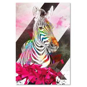 Wandbild Zebra Abstrakt Bunt 60 x 90 cm