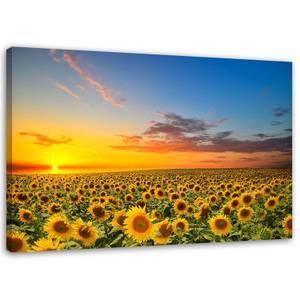 Wandbilder Sonnenblumen Sonnenuntergang 120 x 80 cm