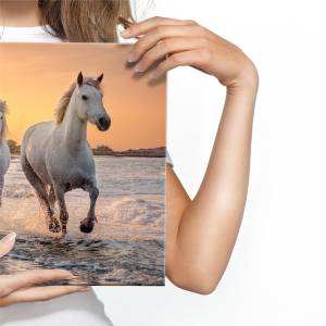 Leinwandbild Pferde Galopp Landschaft 3D 120 x 80 x 80 cm