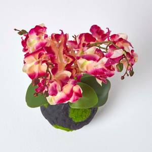 Kunstblumen Phalaenopsis Orchidee Beige - Kunststoff - 17 x 60 x 60 cm