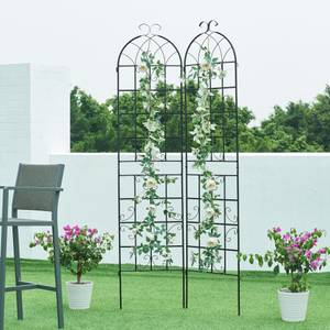 Treillis de jardin set de 2 Barrea Hauteur : 220 cm