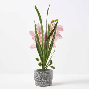 Künstliche Orchidee im Zement-Topf 58 cm Pink - Kunststoff - 21 x 58 x 58 cm