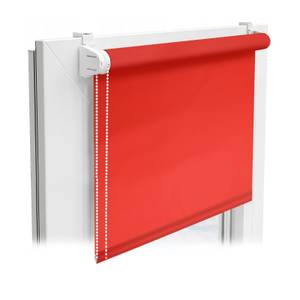 Sichtschutzrollo Daylight Color Rot - 65 x 2 x 150 cm