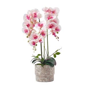 Künstliche Phalaenopsis-Orchidee Pink - Kunststoff - 29 x 64 x 64 cm