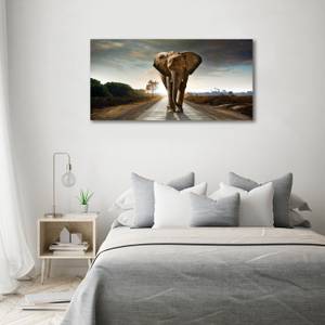 Wandbild Elefant 140 x 70 cm