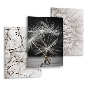 Set De Tableaux Pissenlits Fleurs Nature Beige - Noir - Gris - Blanc - Textile - 90 x 40 x 40 cm