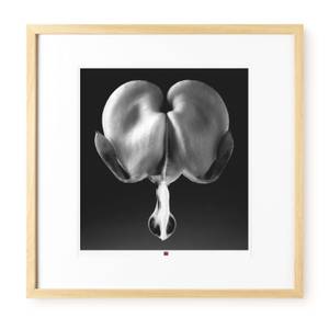 Photo d`art limitée Flower of Truth Noir - Blanc - Verre - Papier - 50 x 50 x 3 cm