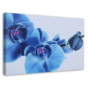 Bild auf leinwand Orchidee Blau Blumen 90 x 60 cm