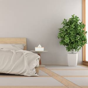 2 x Tücherbox mit Bambus-Deckel Braun - Weiß - Bambus - Kunststoff - 23 x 10 x 13 cm