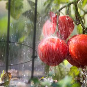 Tuteurs à tomates lot de 2 76 cm Noir - Métal - Matière plastique - 28 x 76 x 28 cm