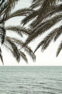 Tableau plage tropicale secrète 60 x 90 cm - Métal