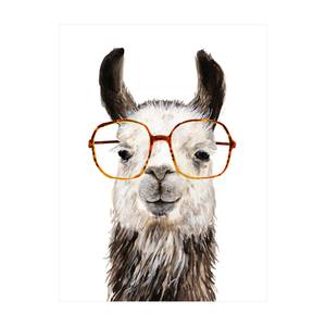 Hippes Lama mit Brille IV 195 x 260 cm