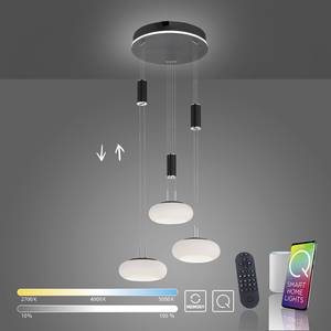 LED Pendellampe Q ETIENNE Smart Home Schwarz - Kunststoff - 35 x 200 x 350 cm