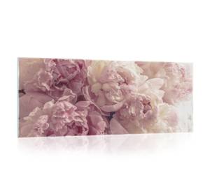 Glasbild Blumen Rosen Wohnzimmer Pink - Glas - Kunststoff - 125 x 50 x 1 cm