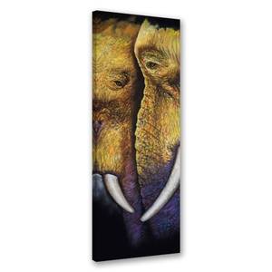 KUNSTDRUCK Elephant Close-Up 1 50 x 150 cm