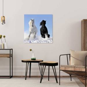 Tableau Tableau photo chevaux 100 x 100 cm - Verre