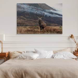 Leinwandbild Natur Hirsch BERGE Natur 3D 30 x 20 x 20 cm