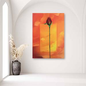 Leinwandbilder Rote Rose Blume Natur 40 x 60 cm